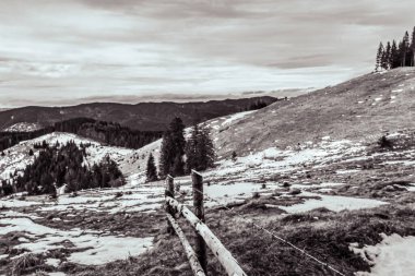 Tahta köprüsü olan güzel bir manzara.
