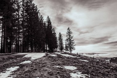 Karla kaplı ağaçlarla kaplı kış manzarası