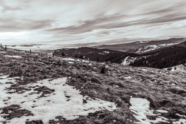 Karla kaplı ağaçlarla kaplı güzel kış manzarası