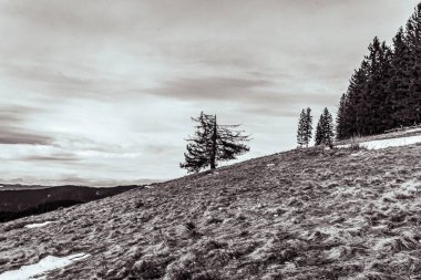 kar ile kış dağ manzarası