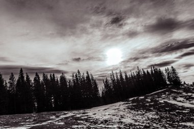 Kar ve ağaçlarla kaplı kış manzarası