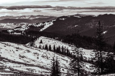 Karla kaplı ağaçlarla kaplı güzel kış manzarası