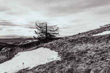 Karpat Dağları 'ndaki kış manzarası