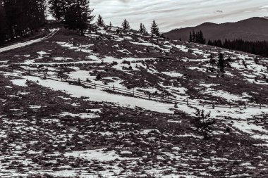 Dağların ve karla kaplı ağaçların dikey görüntüsü.