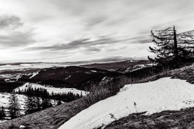 Karla kaplı ağaçlarla kaplı kış manzarası