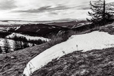 Kışın bir Karpat dağının siyah ve beyaz manzarası