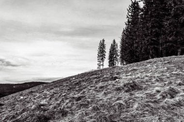 Dağların güzel manzarası