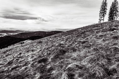 Karpat Dağları, Romanya 'nın güzel manzarası