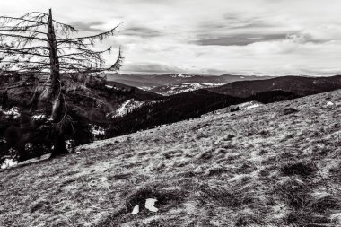 Dağ manzarası harika.