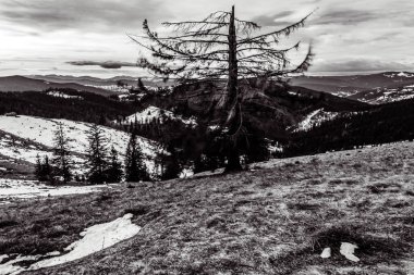 Dağlardaki güzel dağ manzarası