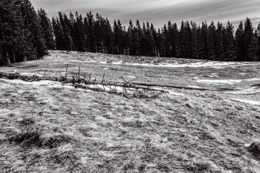 karlı siyah ve beyaz manzara - tepeli dağlar