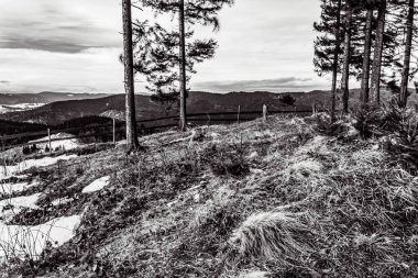 Karpat Dağlarının güzel manzarası