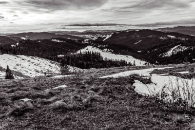 Karlı ve köknar ağaçlı güzel dağ manzarası