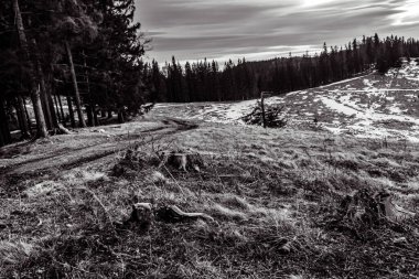 Romanya 'nın Karpat Dağları' ndaki güzel bir dağ manzarası.