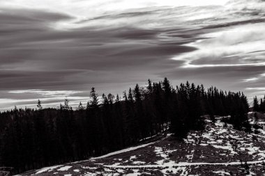 Ağaçlı güzel kış dağları