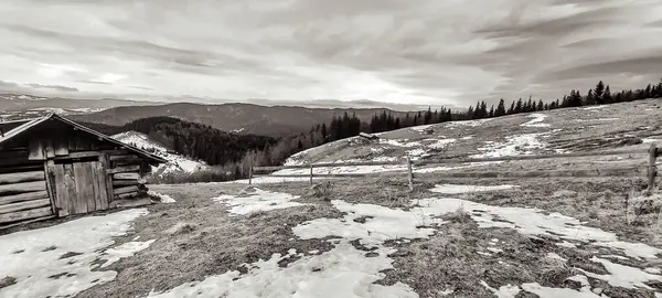 Karpat Dağları. siyah beyaz fotoğraf