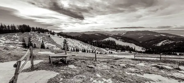 Gündüzleri ormandaki dağların güzel manzarası.