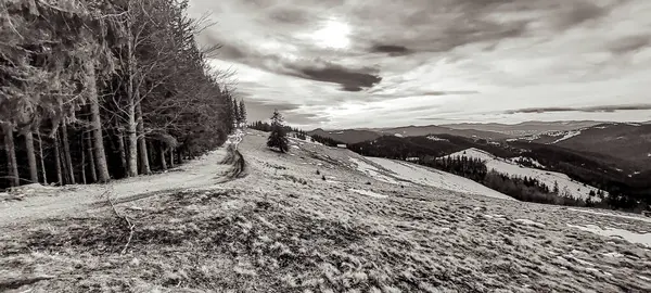 Karpatlar 'ın dağlarında kış