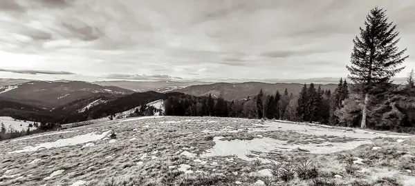Karpatlar 'daki dağlar. siyah ve beyaz