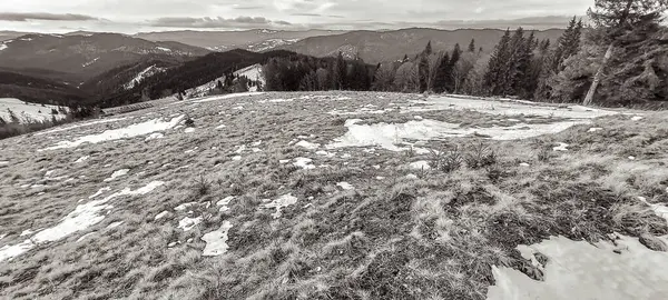 Orman, Karpatlar, Doğa Fotoğrafları - Avrupa, Doğu Avrupa, Romanya 