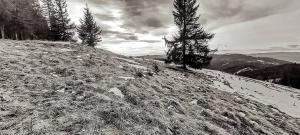 Karla kaplı ağaçlarla kaplı kış manzarası