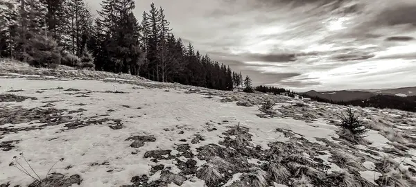Dağlarda karla kaplı ağaçlarla kaplı güzel bir manzara.