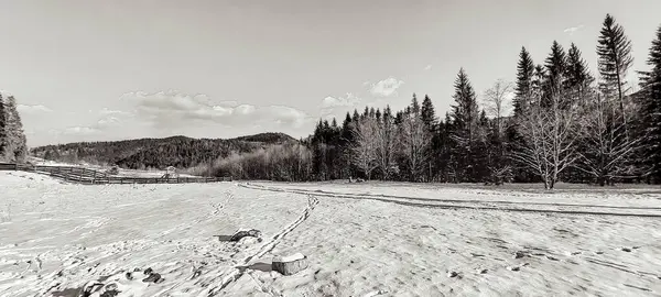 Karda donmuş nehir.