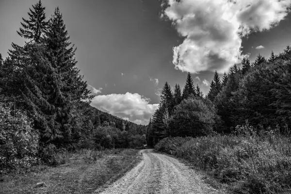 Dağlarda yolu olan güzel bir manzara.
