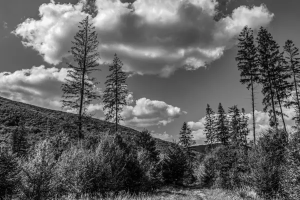 Dağları ve bulutlu gökyüzü olan güzel bir manzara.