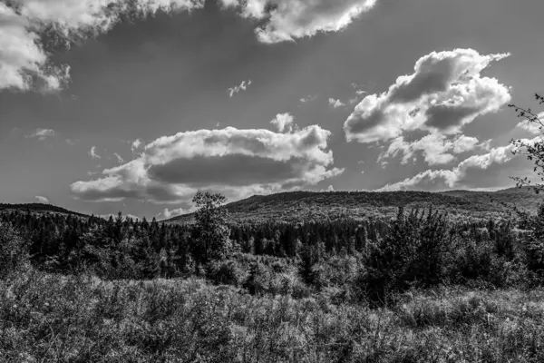 Karpatlar 'da sonbahar mevsiminde dağların tepelerinde siyah ve beyaz bulutlar vardı.