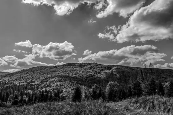 bulutlu siyah ve beyaz dağ manzarası