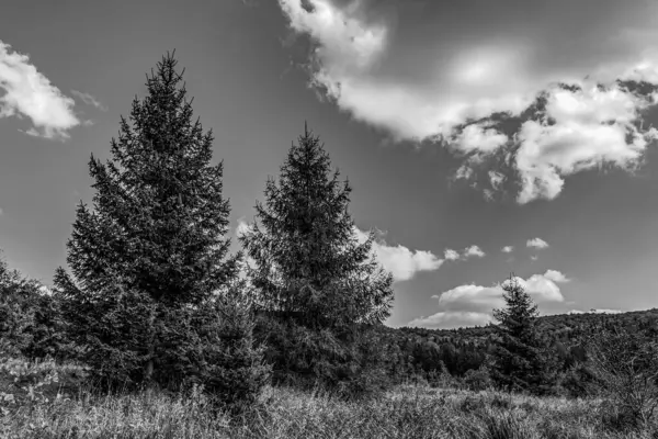 Güzel dağ manzarası. doğa arkaplanı
