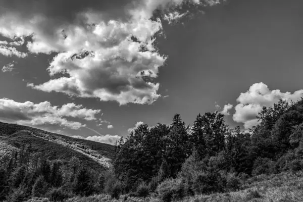 Dağların güzel manzarası