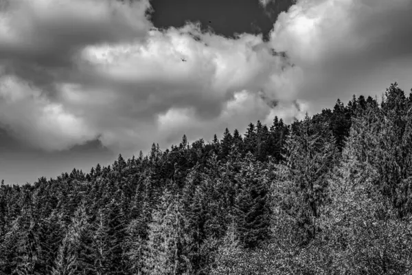 Karpat Dağları 'nın güzel manzarası