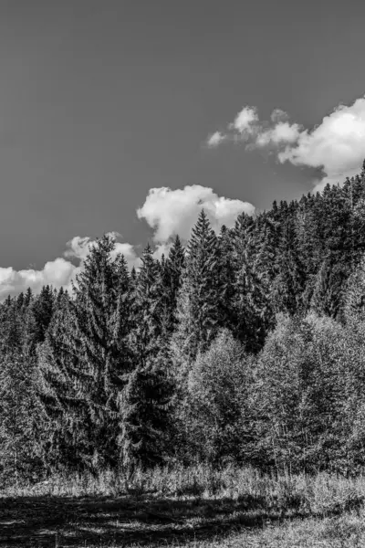 Dağların güzel manzarası