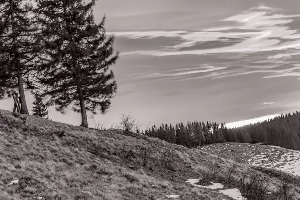 Ağaçlı güzel kış manzarası