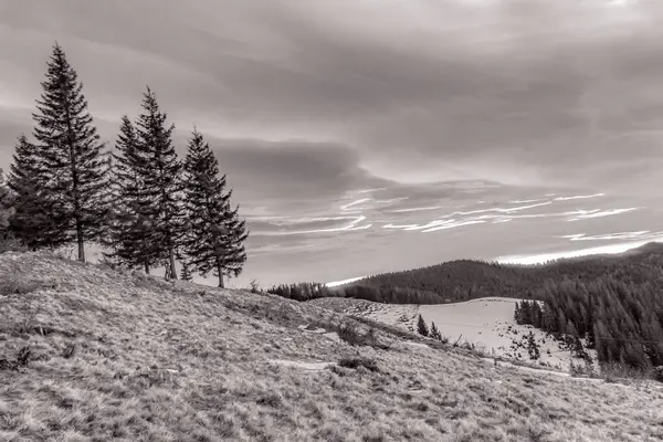 Karlı güzel kış manzarası