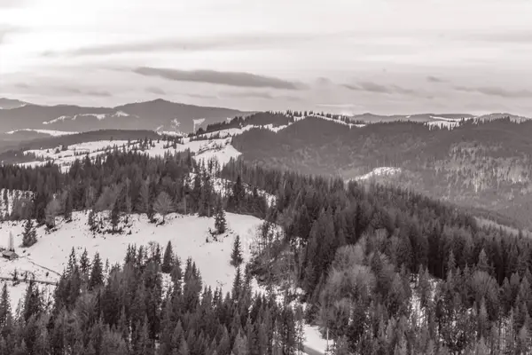 köknar ormanlı kış dağı manzarası