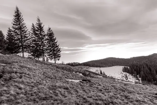 Arkasında ağaç olan bir dağ manzarasının siyah beyaz fotoğrafı.