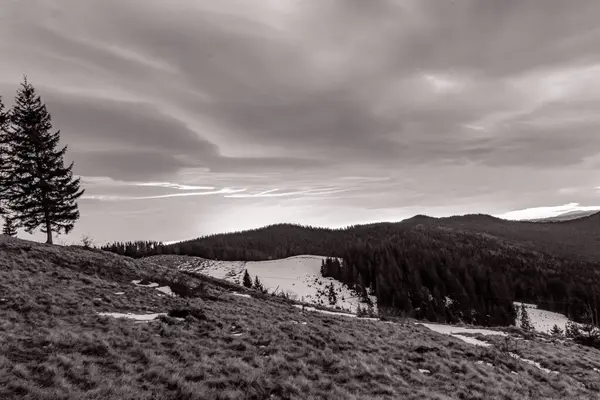 Arkasında kar ve köknar ormanı olan güzel bir dağ manzarası.