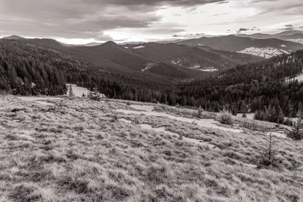 Dağları ve ormanı olan güzel bir manzara.