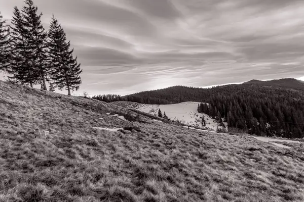 Ağaçlar ve bulutlarla dolu güzel bir manzara.