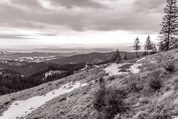 Karpatların yaz aylarındaki dağlarının siyah beyaz fotoğrafı. Dağ çok güzel ve benzersiz bir doğa..