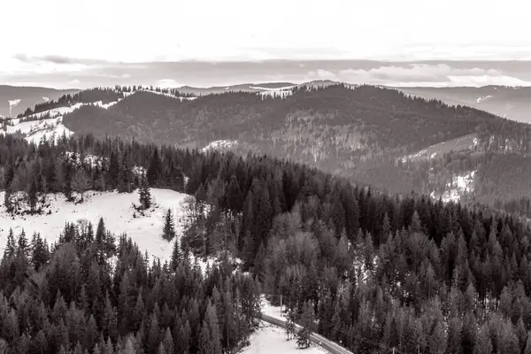 Dağlarda kış ormanı ve dağ zirveleri