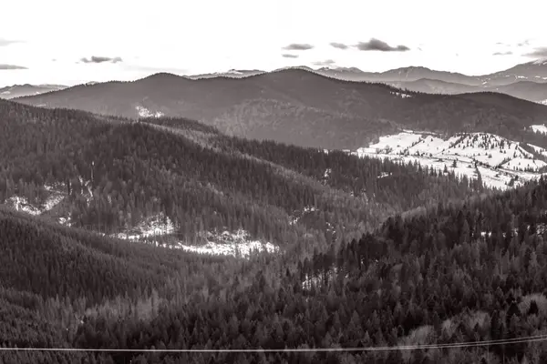 Karpatya ormanındaki güzel dağ manzarası