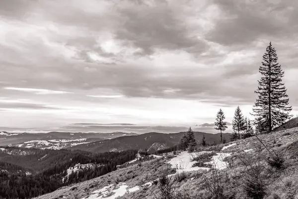 Önünde ağaçlar olan güzel bir dağ manzarası.