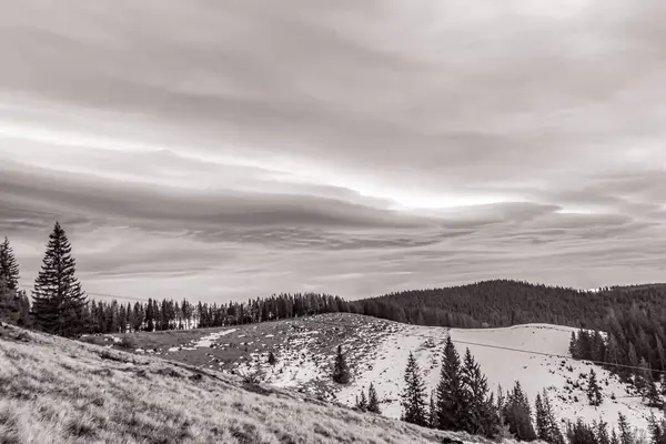 Karla kaplı ormanlar, Karpatlar ve Ukrayna ile güzel dağ manzarası