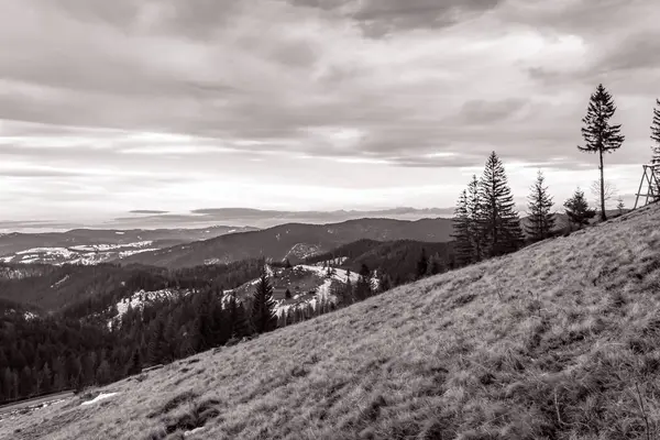 Karpatya 'daki dağların güzel manzarası