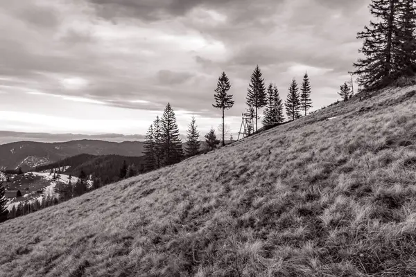 siyah ve beyaz Karpat dağları