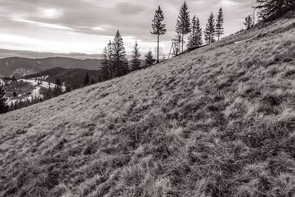 siyah ve beyaz manzara. Karpat Dağları. ukraine